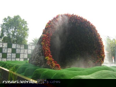 big-bromeliad-plants-cone.jpg