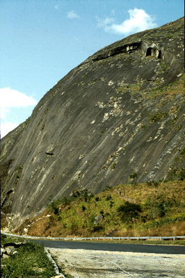 0481 Felsen T. grazielae.jpg